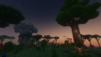The Twilight Forest