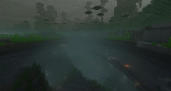 Underwater Swamp Cave