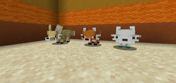 Foxs