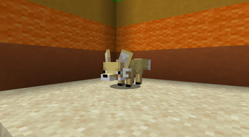 Fennec