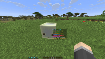 In Game View