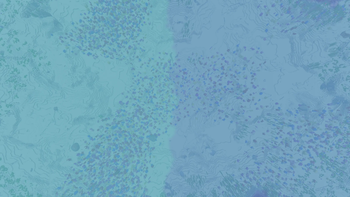 v0.3.0a - Coral in Lukewarm Oceans