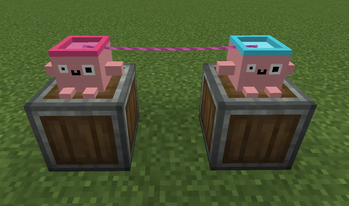 Two Blebs connected by a Gayble