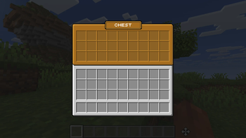 Chest