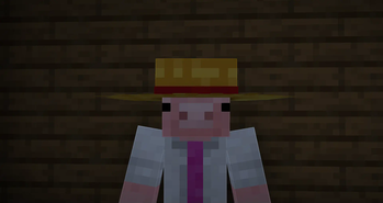 Straw Hat