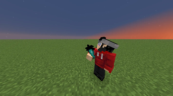 banner