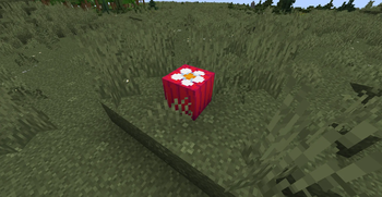 Onion