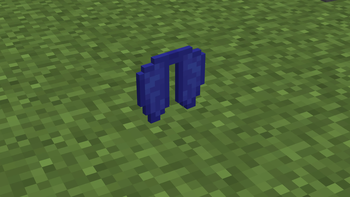 elytra