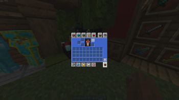 inventory view(blue)