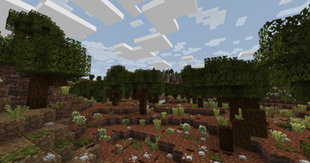 Juniper Dry Forest (1.21)