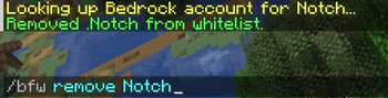 Removing A Player From The Whitelist