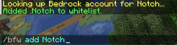 Adding A Player to the whitelist