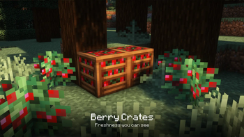 Berry Crates