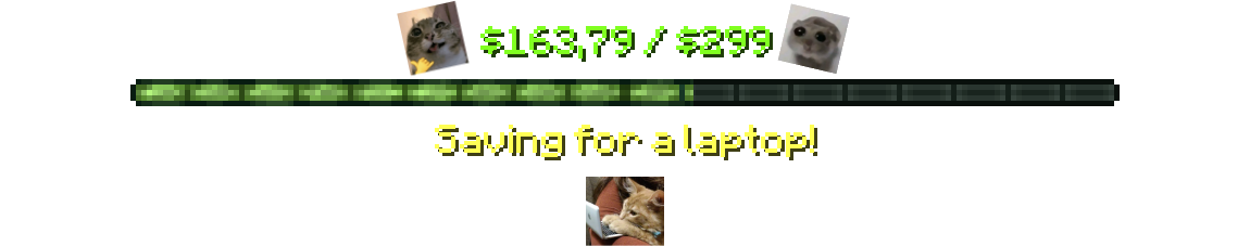 Saving for a laptop!