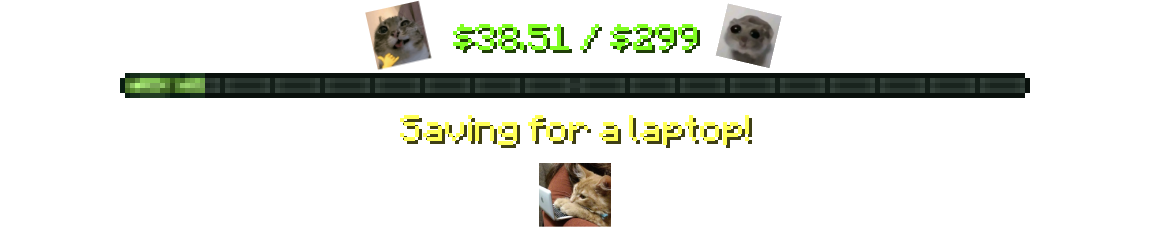 Saving for a laptop!
