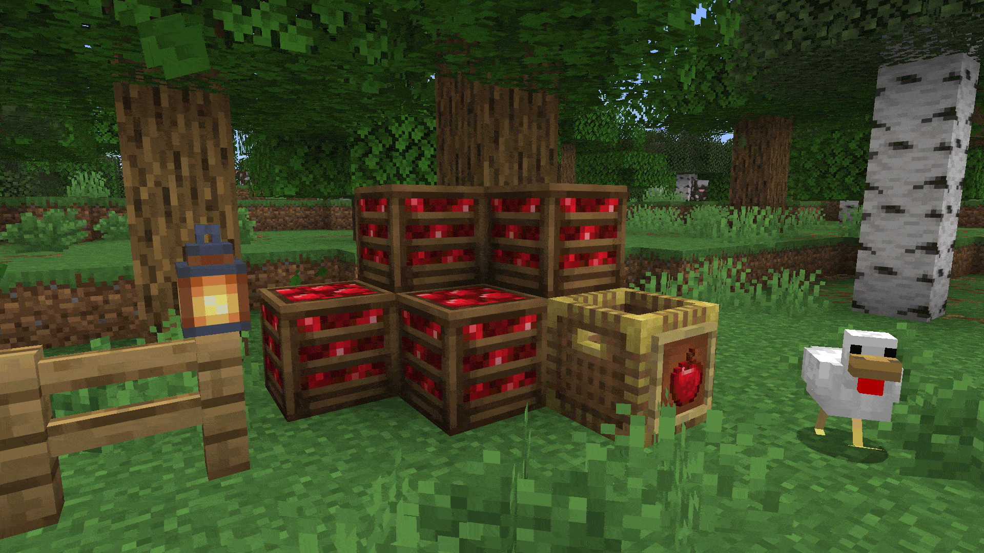 Crate Delight Banner