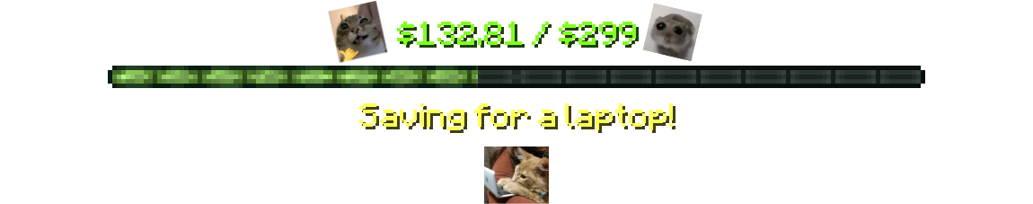Saving for a laptop!