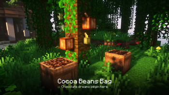 Cocoa Beans Bag