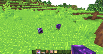 Items on the ground