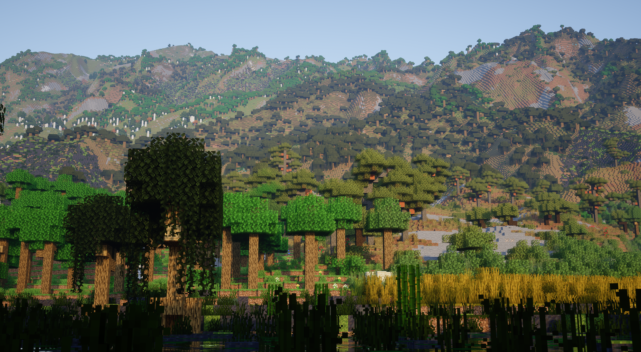 A mountain covered with swamps and forests