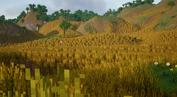 Wheat Steppe Biome