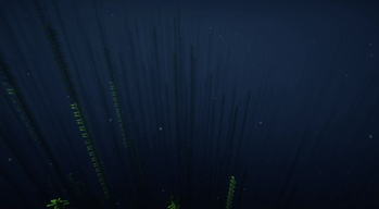 Kelp Forest Biome