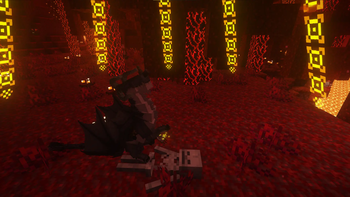 Dragon in Nether