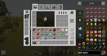 Dragon inventory