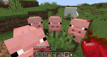 Pigs are easier to breed!