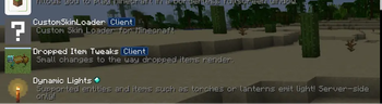 Dropped Item Tweaks