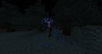 chase 2