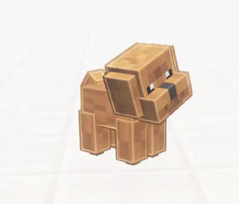 Smile Dog