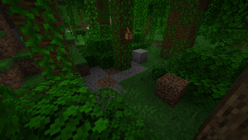 Jungle Ruins