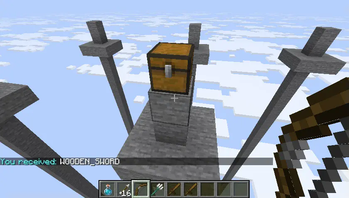 Chest View