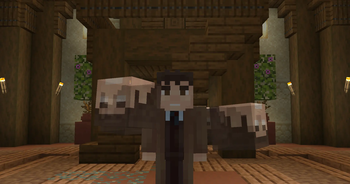 2nd Regeneration