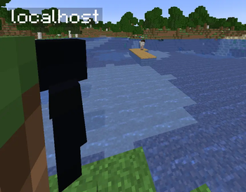 Localhost watching..