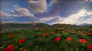 Nice Flowers