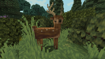 Fawn