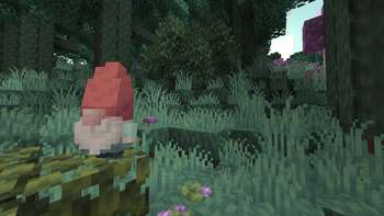 Gnomes