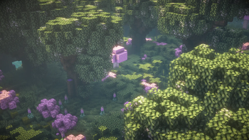 Faerie Forest