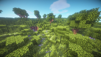 Wilderness