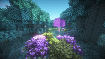 Ethereal Forest