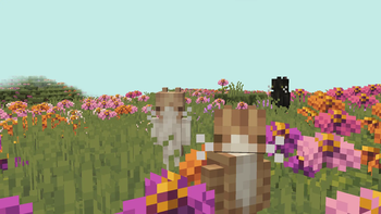 Cat Villagers