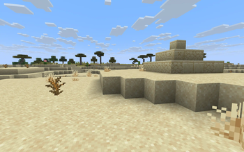 Desert Ruin