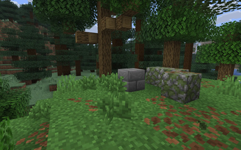 Forest Ruins