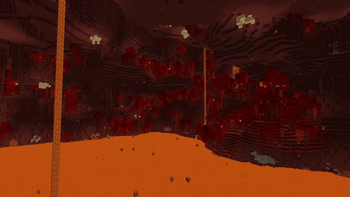 Nether world