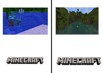 Diffrence with and without pack