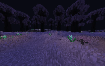 Crysal Forest