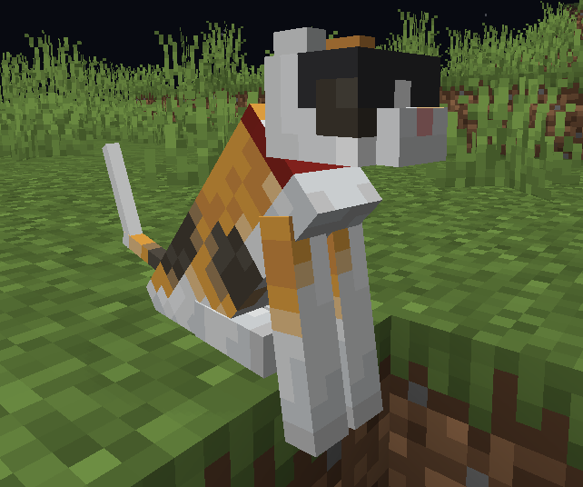 Cat side view