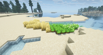 Fancy Crop (By Bee)